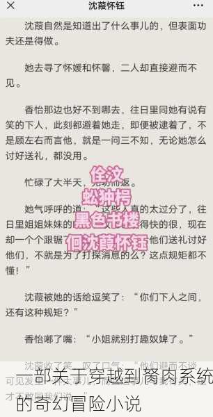 一部关于穿越到胬肉系统的奇幻冒险小说