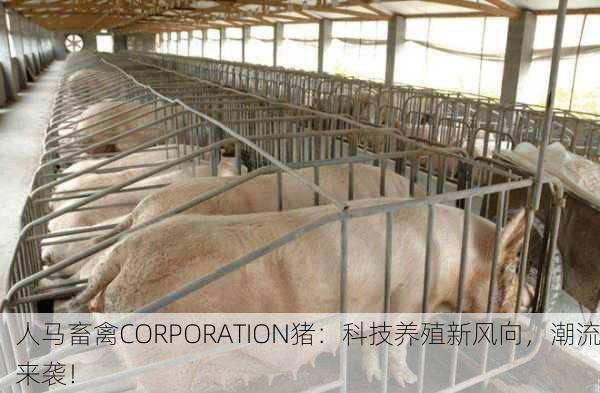人马畜禽CORPORATION猪：科技养殖新风向，潮流来袭！