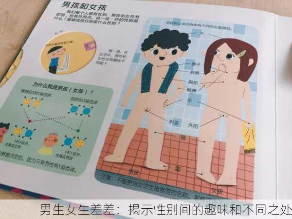男生女生差差：揭示性别间的趣味和不同之处