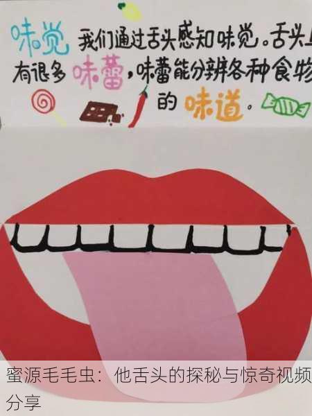 蜜源毛毛虫：他舌头的探秘与惊奇视频分享