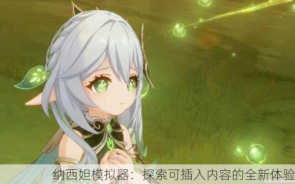 纳西妲模拟器：探索可插入内容的全新体验