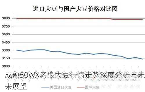 成熟50WX老狼大豆行情走势深度分析与未来展望