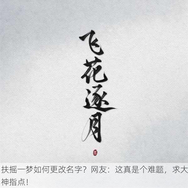 扶摇一梦如何更改名字？网友：这真是个难题，求大神指点！