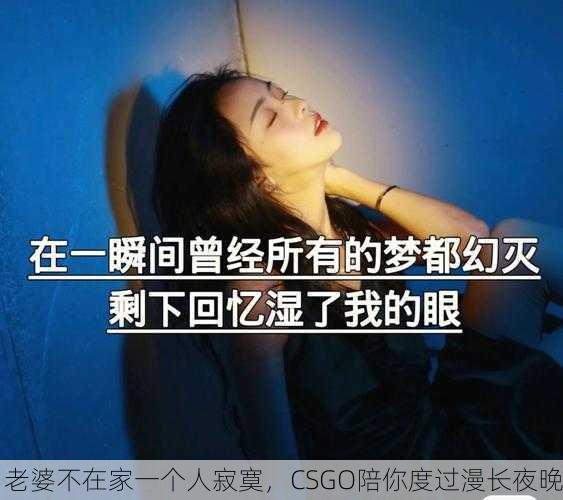老婆不在家一个人寂寞，CSGO陪你度过漫长夜晚