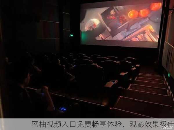 蜜柚视频入口免费畅享体验，观影效果极佳