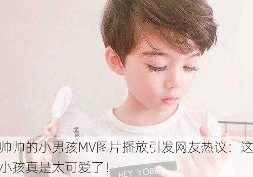 帅帅的小男孩MV图片播放引发网友热议：这小孩真是太可爱了！
