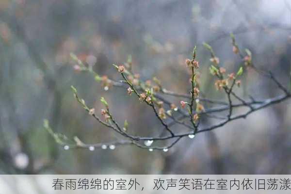 春雨绵绵的室外，欢声笑语在室内依旧荡漾