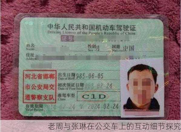 老周与张琳在公交车上的互动细节探究