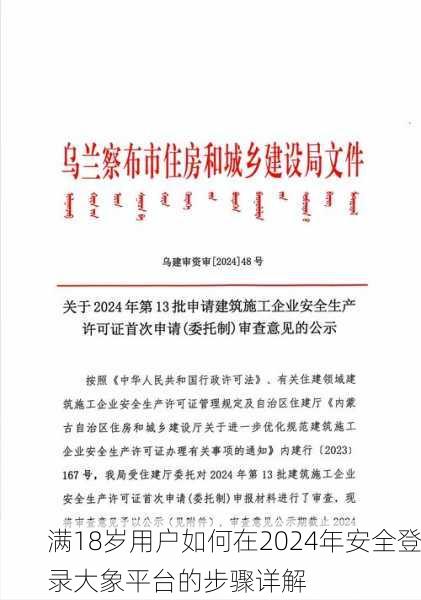 满18岁用户如何在2024年安全登录大象平台的步骤详解