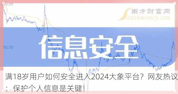 满18岁用户如何安全进入2024大象平台？网友热议：保护个人信息是关键！