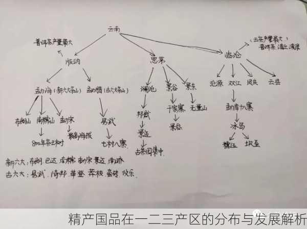 精产国品在一二三产区的分布与发展解析