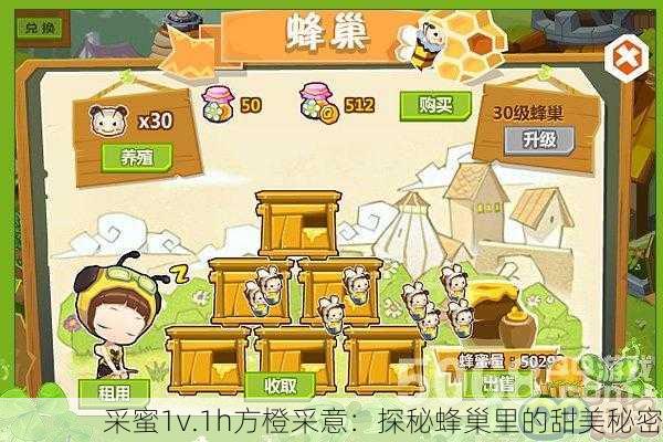 采蜜1v.1h方橙采意：探秘蜂巢里的甜美秘密