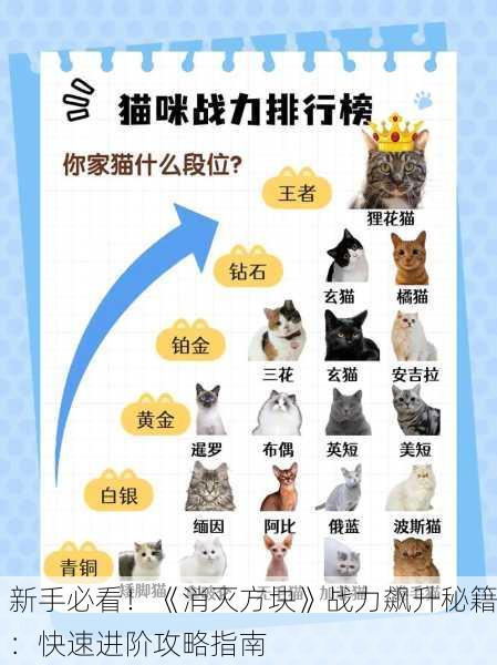 新手必看！《消灭方块》战力飙升秘籍：快速进阶攻略指南