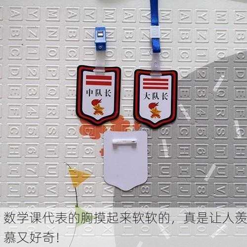 数学课代表的胸摸起来软软的，真是让人羡慕又好奇！