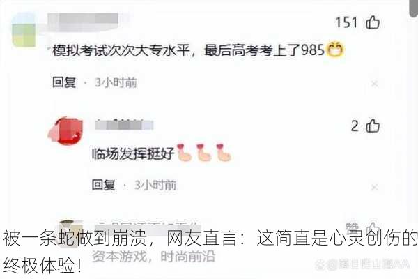 被一条蛇做到崩溃，网友直言：这简直是心灵创伤的终极体验！