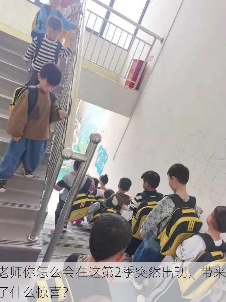 老师你怎么会在这第2季突然出现，带来了什么惊喜？