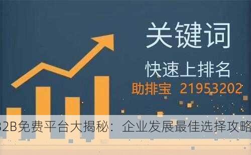 B2B免费平台大揭秘：企业发展最佳选择攻略！
