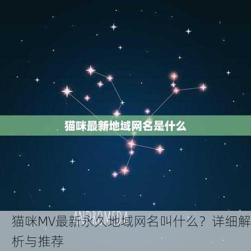 猫咪MV最新永久地域网名叫什么？详细解析与推荐