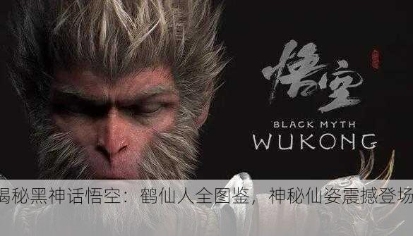 揭秘黑神话悟空：鹤仙人全图鉴，神秘仙姿震撼登场！