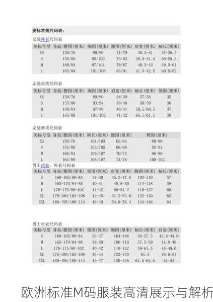 欧洲标准M码服装高清展示与解析