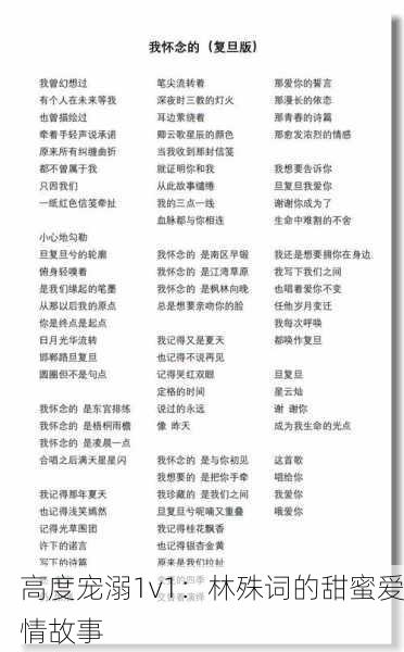 高度宠溺1v1：林殊词的甜蜜爱情故事