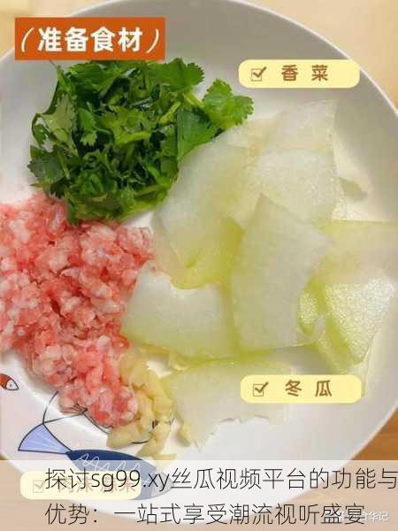 探讨sg99.xy丝瓜视频平台的功能与优势：一站式享受潮流视听盛宴