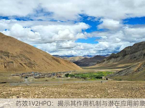 药效1V2HPO：揭示其作用机制与潜在应用前景