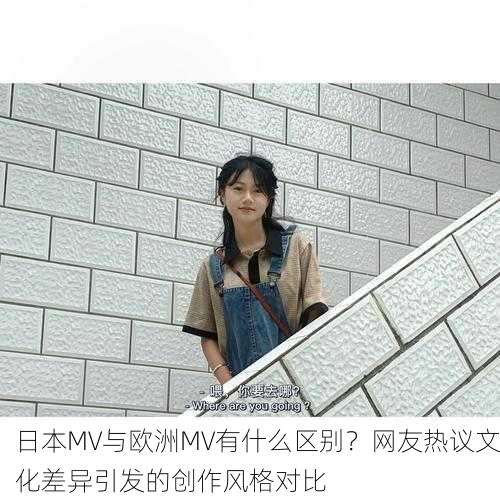 日本MV与欧洲MV有什么区别？网友热议文化差异引发的创作风格对比