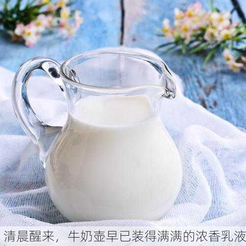 清晨醒来，牛奶壶早已装得满满的浓香乳液