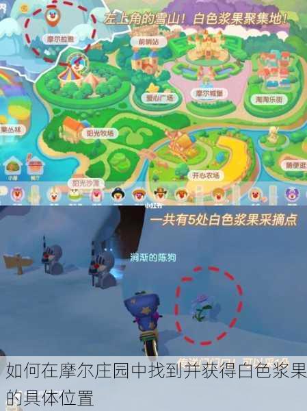如何在摩尔庄园中找到并获得白色浆果的具体位置