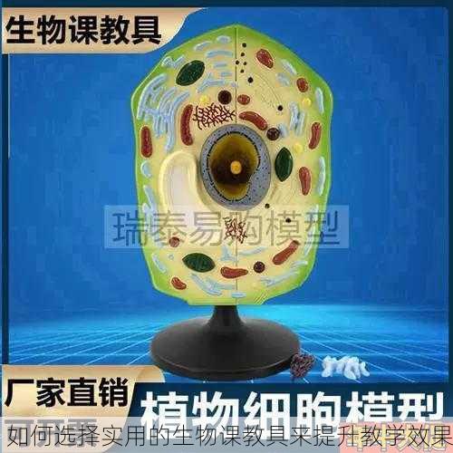 如何选择实用的生物课教具来提升教学效果