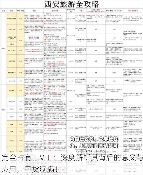 完全占有1LVLH：深度解析其背后的意义与应用，干货满满！
