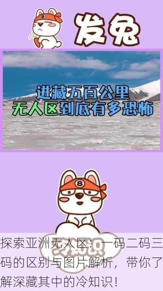 探索亚洲无人区：一码二码三码的区别与图片解析，带你了解深藏其中的冷知识！