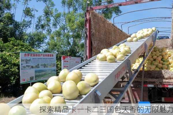 探索精品卡一卡二三国色天香的无限魅力