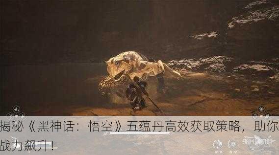 揭秘《黑神话：悟空》五蕴丹高效获取策略，助你战力飙升！