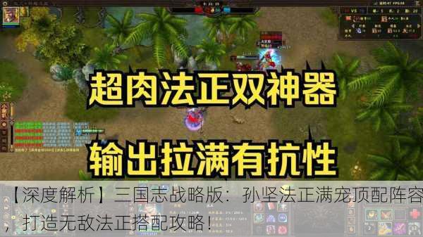 【深度解析】三国志战略版：孙坚法正满宠顶配阵容，打造无敌法正搭配攻略！