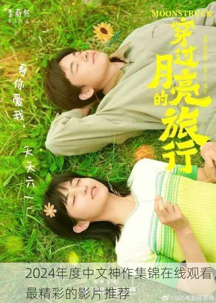 2024年度中文神作集锦在线观看，最精彩的影片推荐