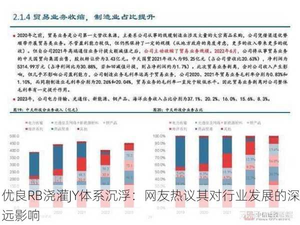 优良RB浇灌JY体系沉浮：网友热议其对行业发展的深远影响