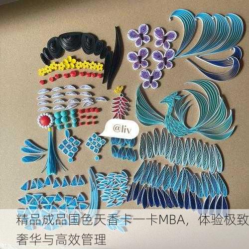 精品成品国色天香卡一卡MBA，体验极致奢华与高效管理