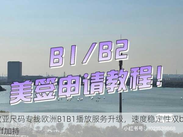 欧亚尺码专线欧洲B1B1播放服务升级，速度稳定性双buff加持