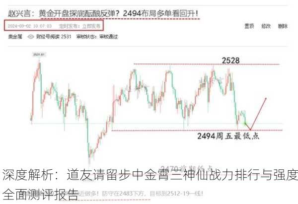 深度解析：道友请留步中金霄三神仙战力排行与强度全面测评报告