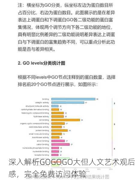 深入解析GOGOGO大但人文艺术观后感，完全免费访问体验