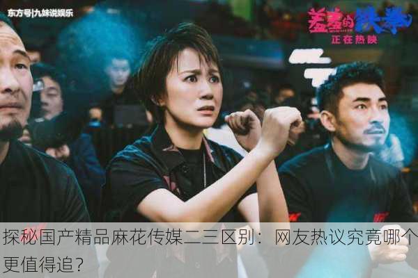 探秘国产精品麻花传媒二三区别：网友热议究竟哪个更值得追？