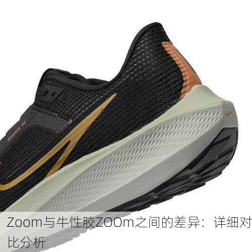 Zoom与牛性胶ZOOm之间的差异：详细对比分析