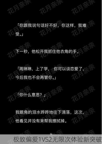 极致偏爱1VS2无限次体验新突破