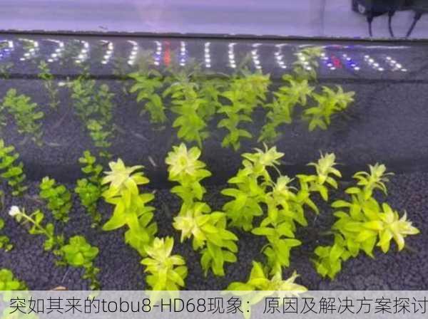 突如其来的tobu8-HD68现象：原因及解决方案探讨