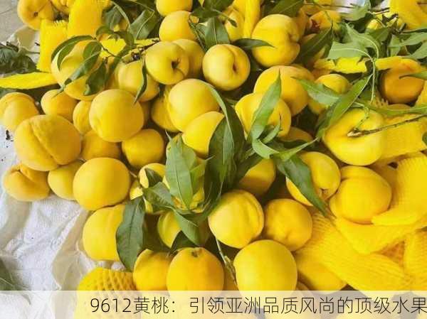 9612黄桃：引领亚洲品质风尚的顶级水果