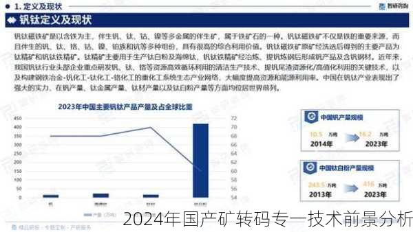 2024年国产矿转码专一技术前景分析