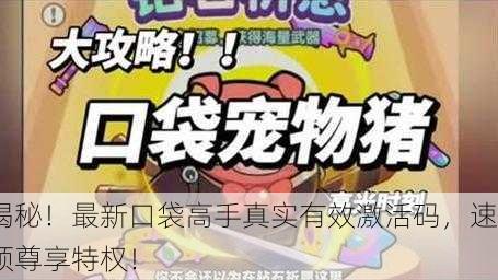 揭秘！最新口袋高手真实有效激活码，速领尊享特权！