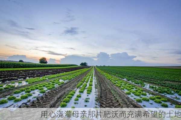 用心浇灌母亲那片肥沃而充满希望的土地